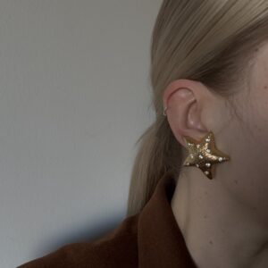 Efektowne klipsy gwiazdy